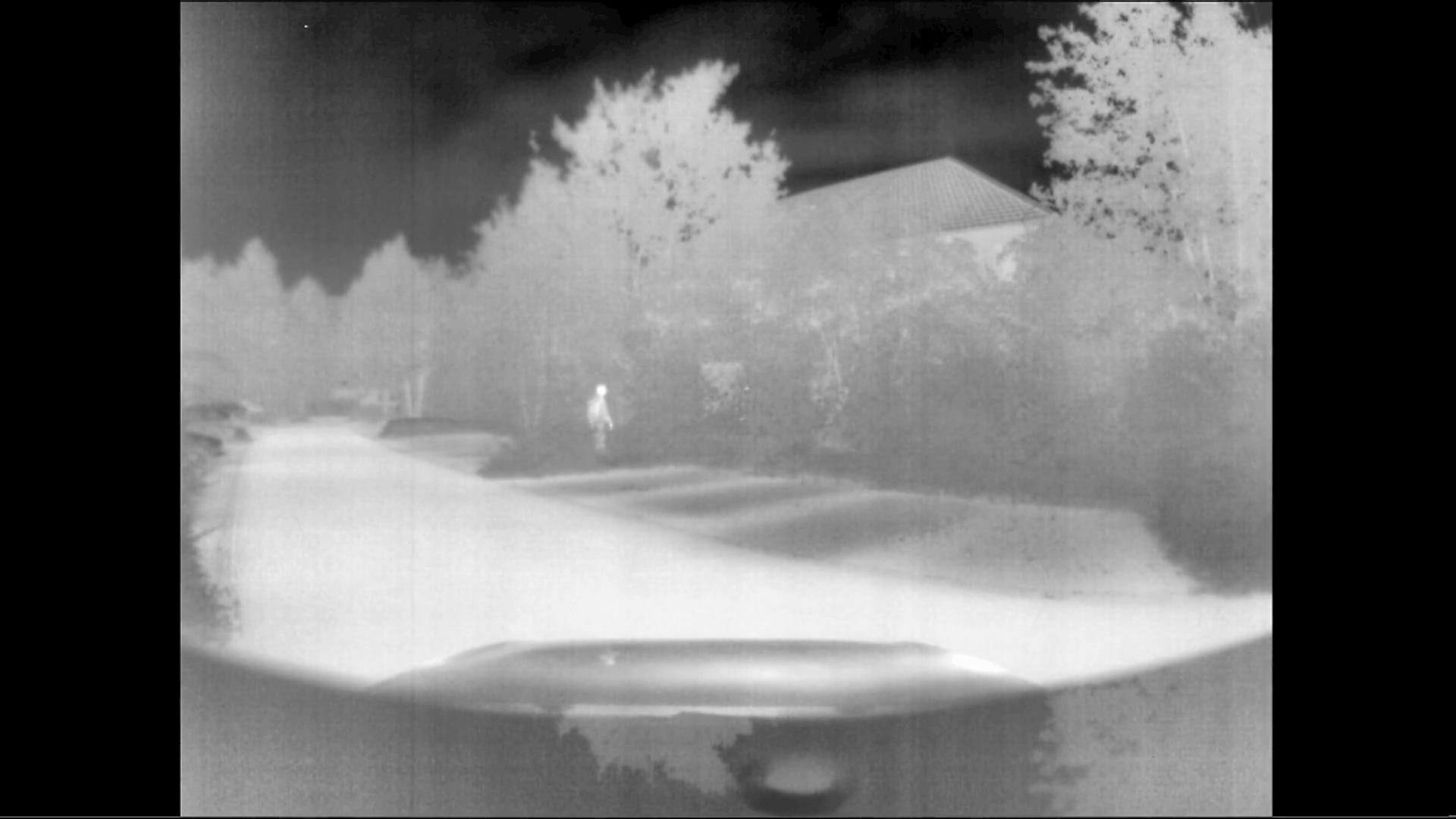 Image Fusion for DVE, LWIR image: person in bush is visible, no color | Kappa optronics
